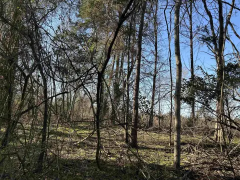 Unrestricted Hunting Acreage