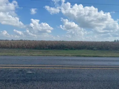 20 Acres in Kingsville, TX