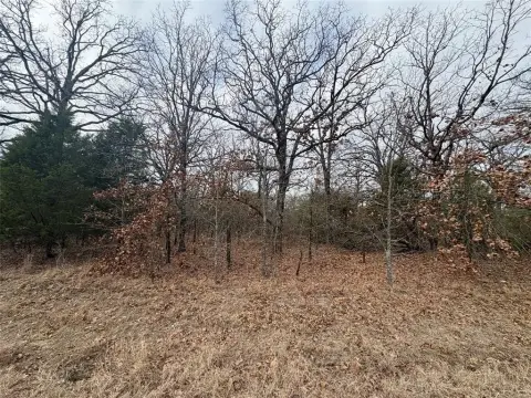 Land Near Cedar Creek Lake