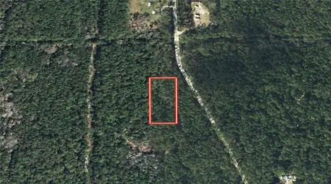 Vacant Land in Rural Samsula