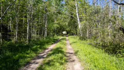 Wooded Hunting Land