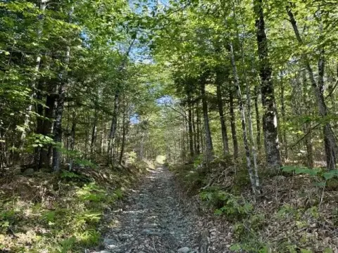 Hunting Land With Gravel Access