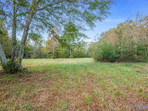 Residential Land in Rogersville, AL