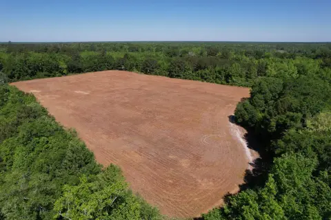 Greeleyville Hunting and Agricultural Land