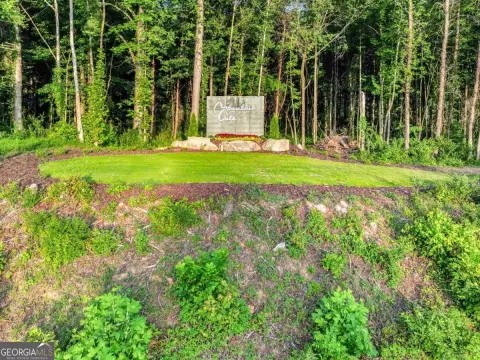 Ellijay, GA Premier Lot