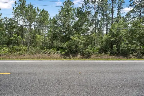 Wooded Lot in Bunnell, Florida
