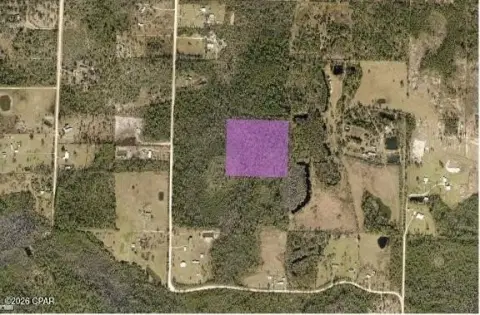 Secluded Vacant Land Acreage
