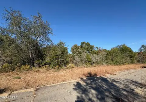 Land in Sunny Hills, Chipley