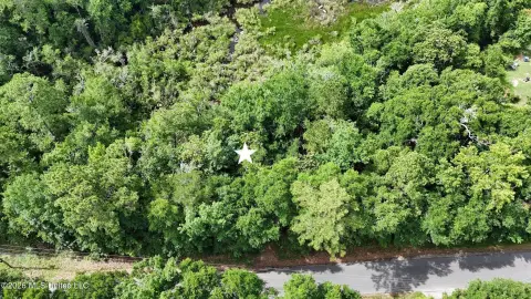 Ocean Springs Homesite in Gulf