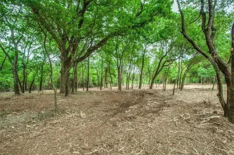 Untapped Land Near Lake Ray