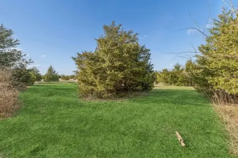 Improved Land in Commerce, Texas