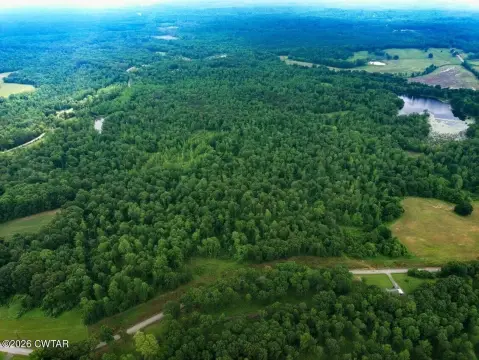 Pinson, TN Wooded Acreage