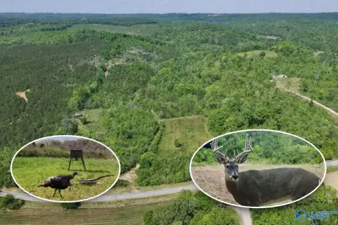 DeKalb County Hunting/Recreational Land