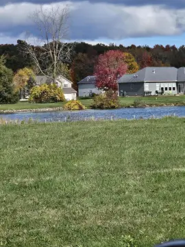 Land For Sale, Onsted, MI