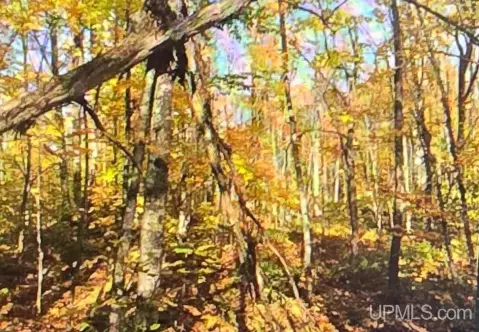 Vacant Land in Silver River Reserve