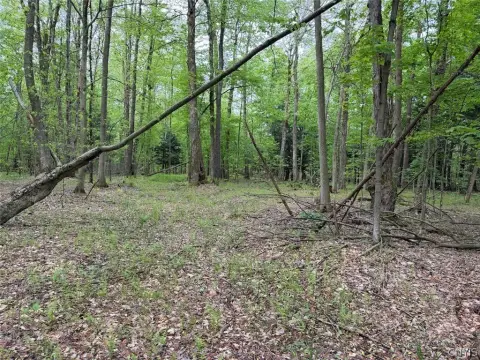 Wooded Land with Creek