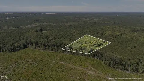 Harnett County Wooded Land Parcel