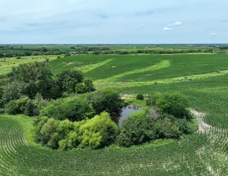 Agricultural Land Tract