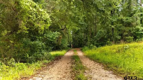 Wooded Acreage with Building Clearing
