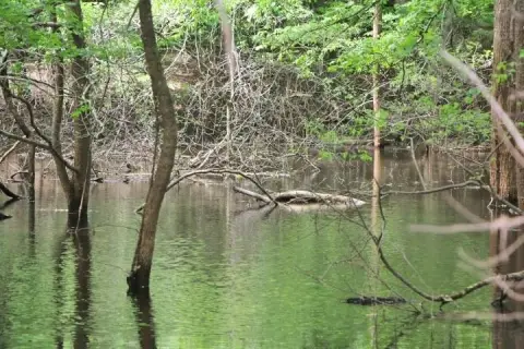 53.29 Acres Ideal Subdivision