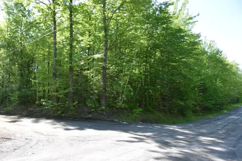 Rural Land with Three-Road Frontage