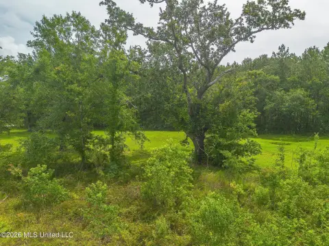 Residential Land Near Beach
