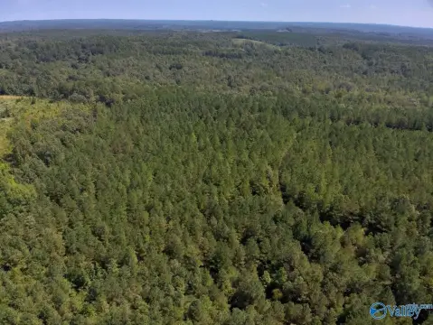 595 Acres of Alabama Land