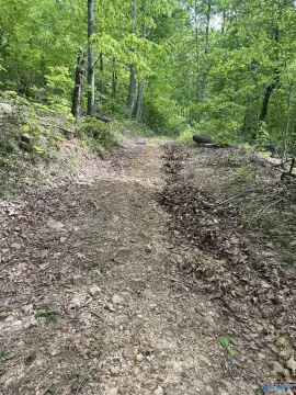 Secluded Land Near Sunrise Marina