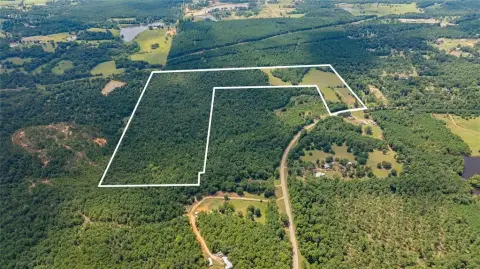 88+ Acres of Wooded Land