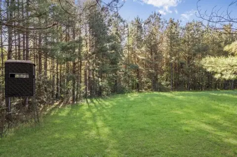 340 Acres of Timberland