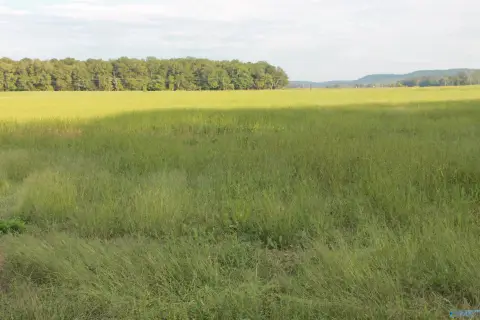 40-Acre Hay Farmland