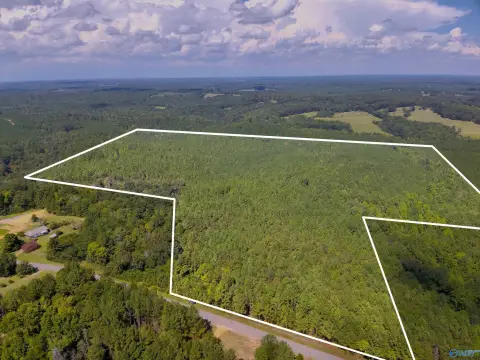 Wooded Land Tract