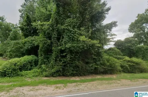 Wooded Land Tract