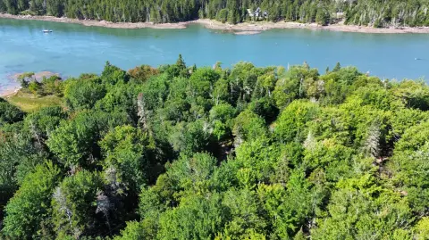 Waterfront Land with Ocean Frontage