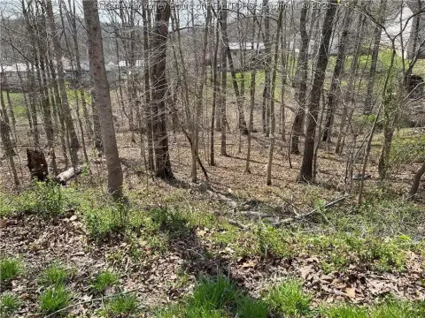 Residential Land in Established Neighborhood