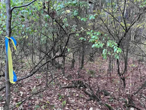 Tawas City Commercial Land