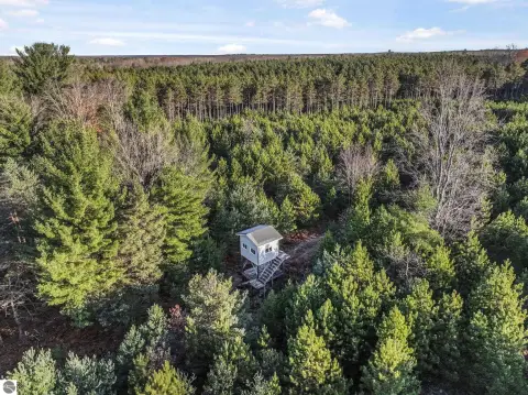 Secluded Wooded Land in Kingsley