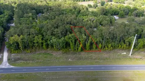 Williston, FL Buildable Wooded Lot