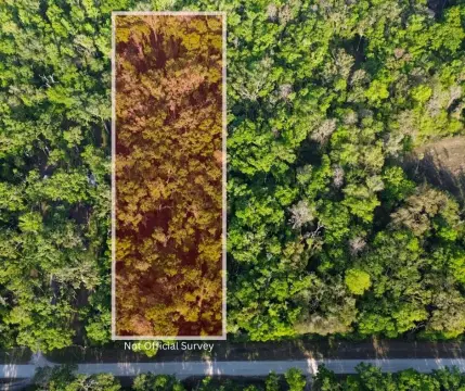 2.5 Acres Untouched Land