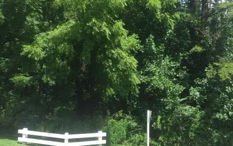 Hayesville, NC Vacant Wooded Lots