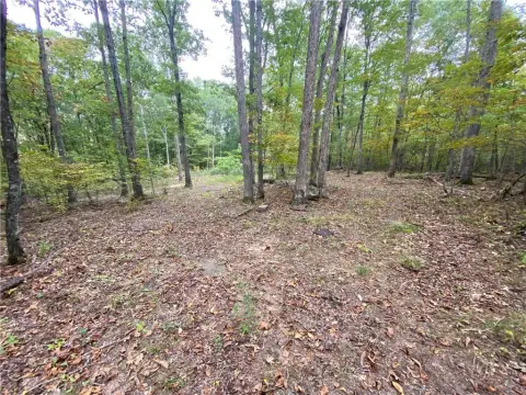 Arkansas Timberland Bordering Horse Shoe