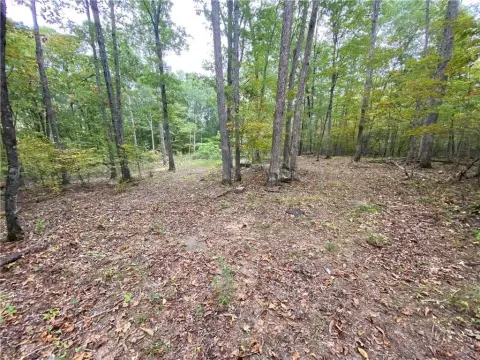 Ozark Mountain Timberland Opportunity