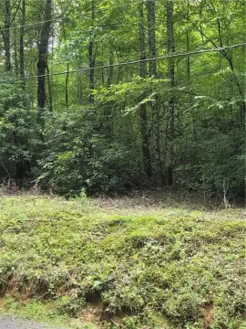 Wooded Land with Ridgelines