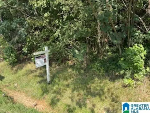 Residential Lot in Center Point