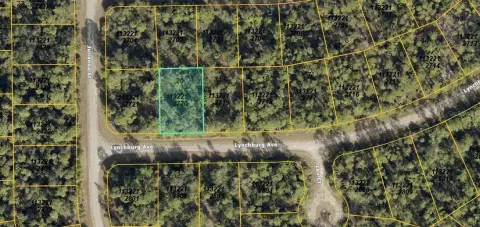 Rezoned Activity Center Land