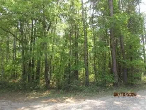 Rural Home Site with Trees