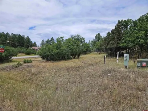 Corner Lot in Twincreek Village