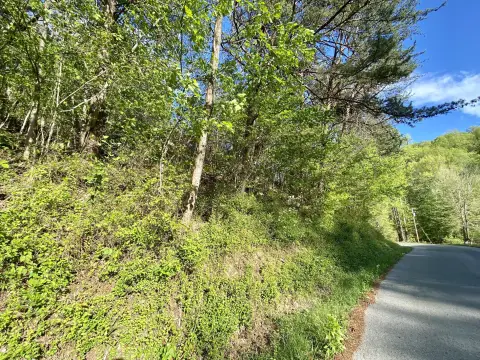 Wooded Lot in Laurel County