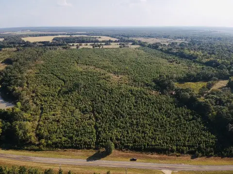 Pine Timber Hunting Land