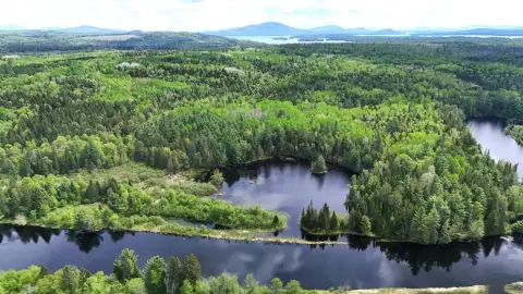 Waterfront Recreational Land Parcel